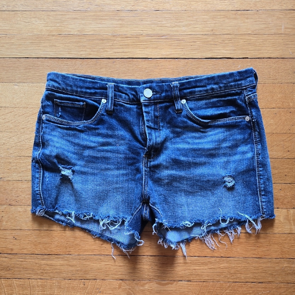 Blank NYC, "The Barrow," Vintage High Rise Shorts, Distressed, EUC, Women's 29